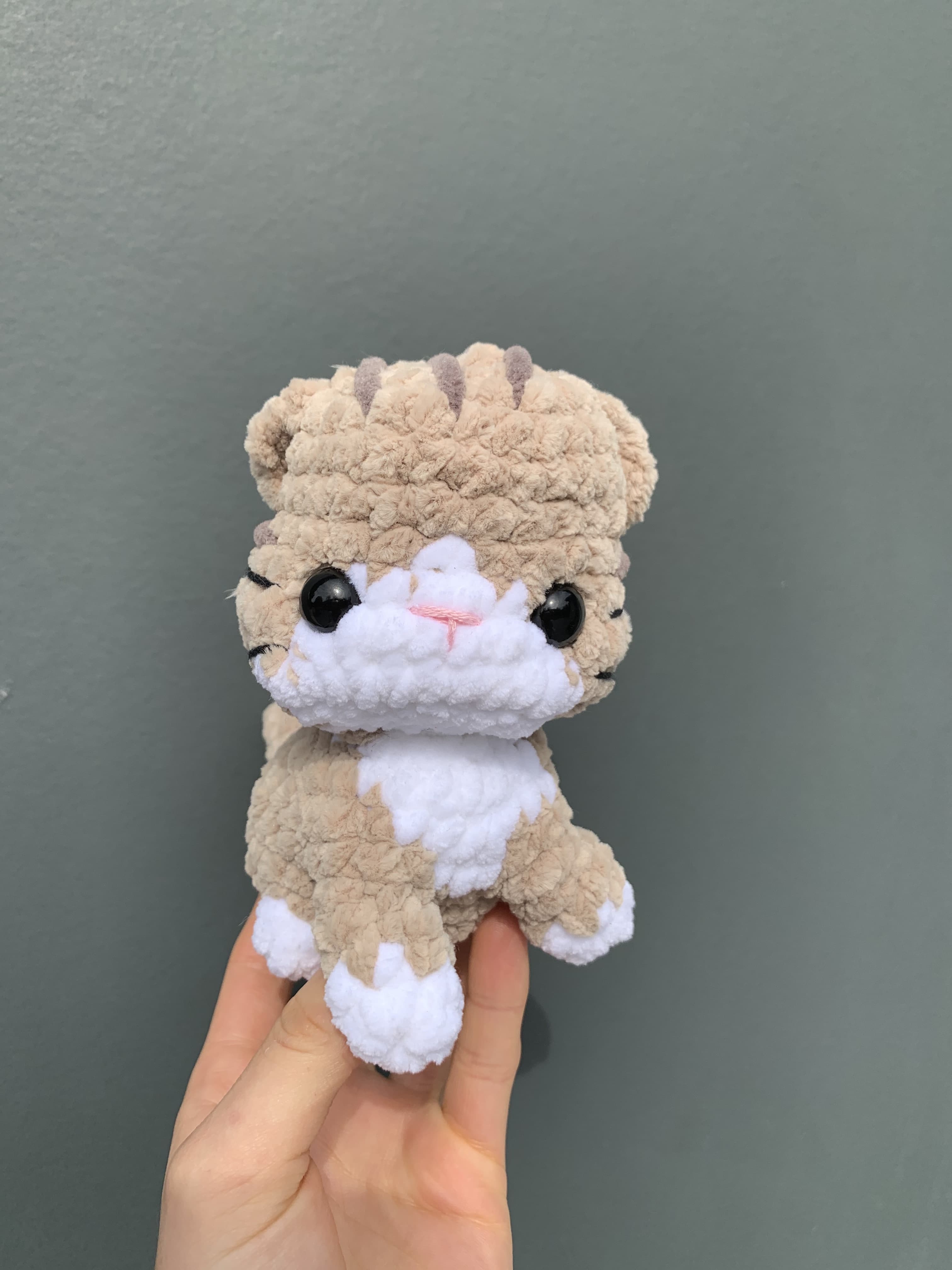 Chat beige et blanc 