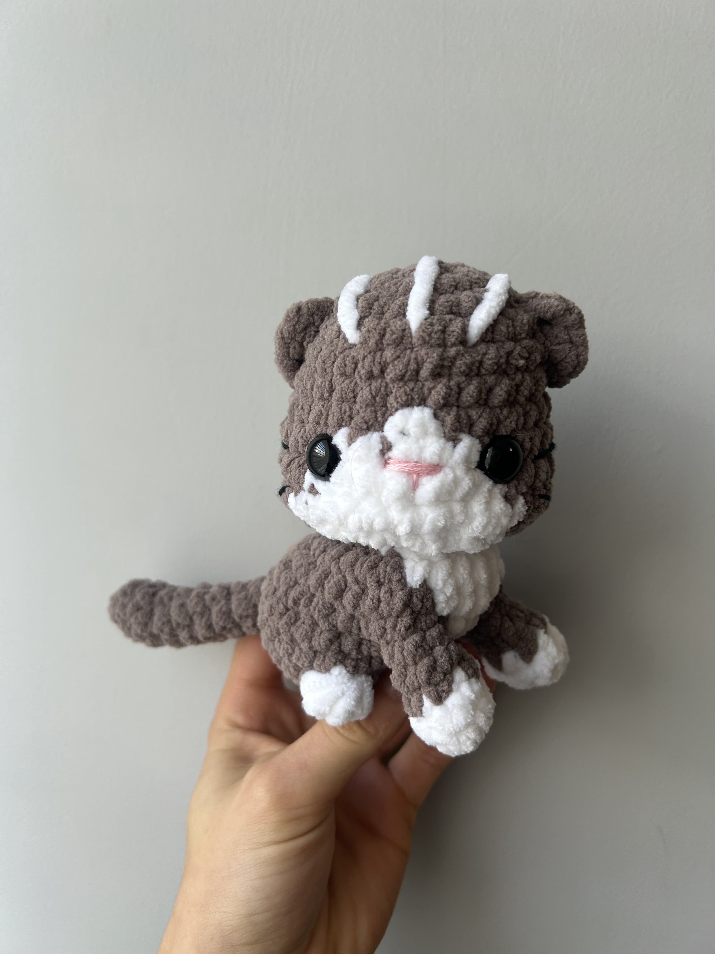Chat marron taupe et blanc 