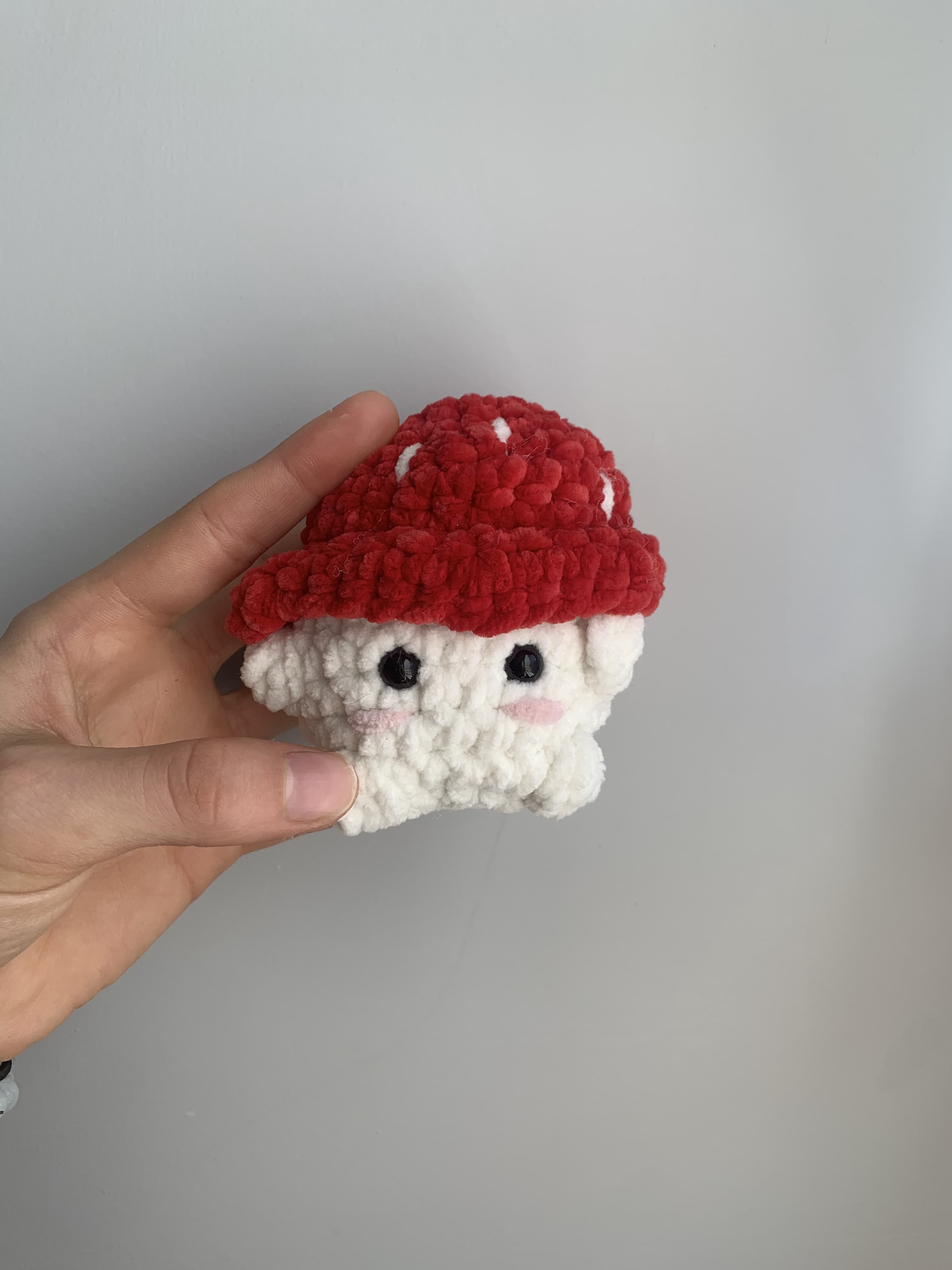 Champignon rouge et blanc 