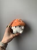 Miniature 1 de la variante Champignon orange et blanc