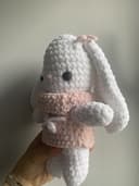 Miniature 2 de la variante Lapin robe 