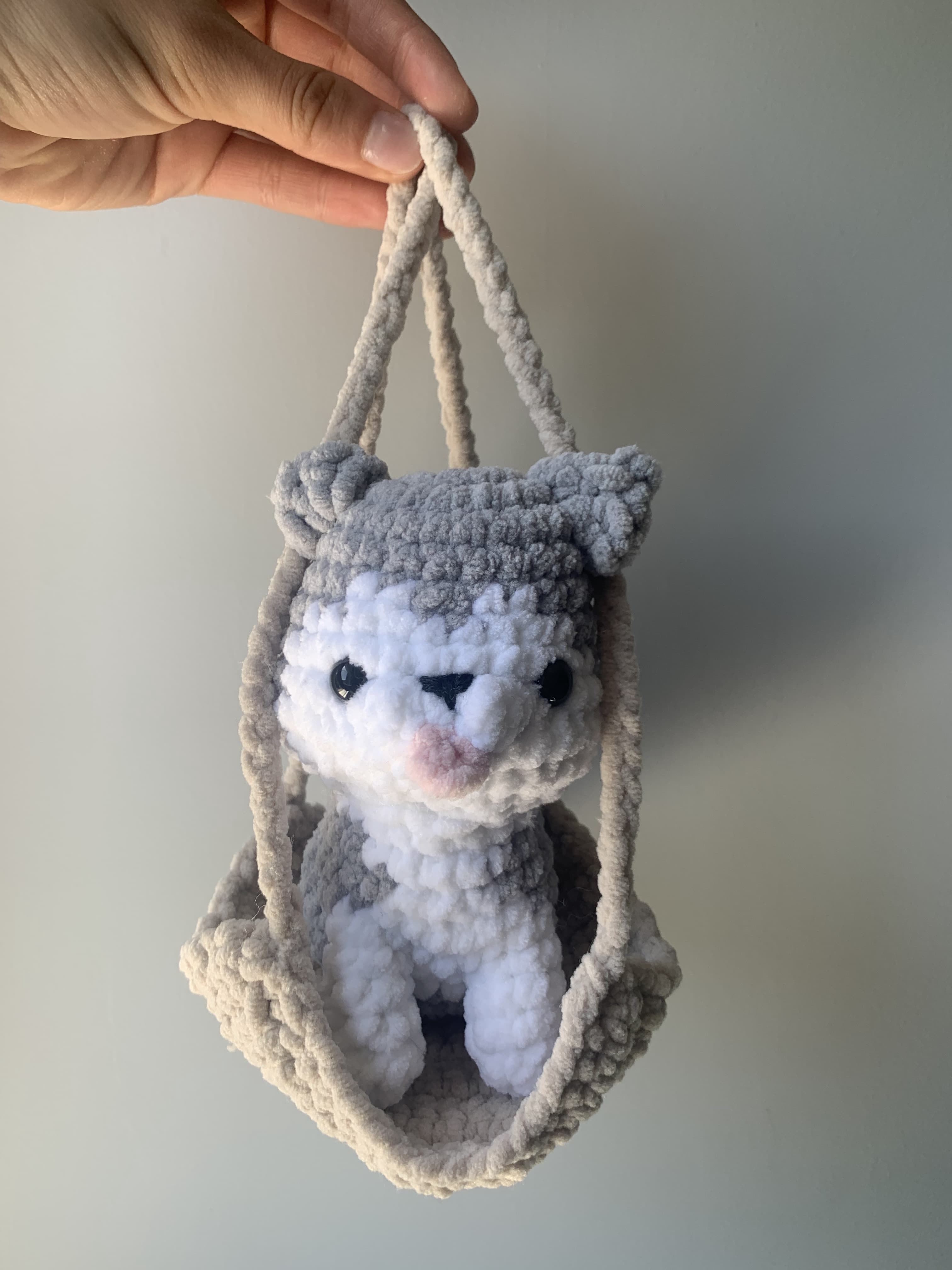 Husky sur balançoire 
