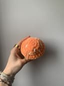 Miniature 4 de la variante Champignon orange et blanc