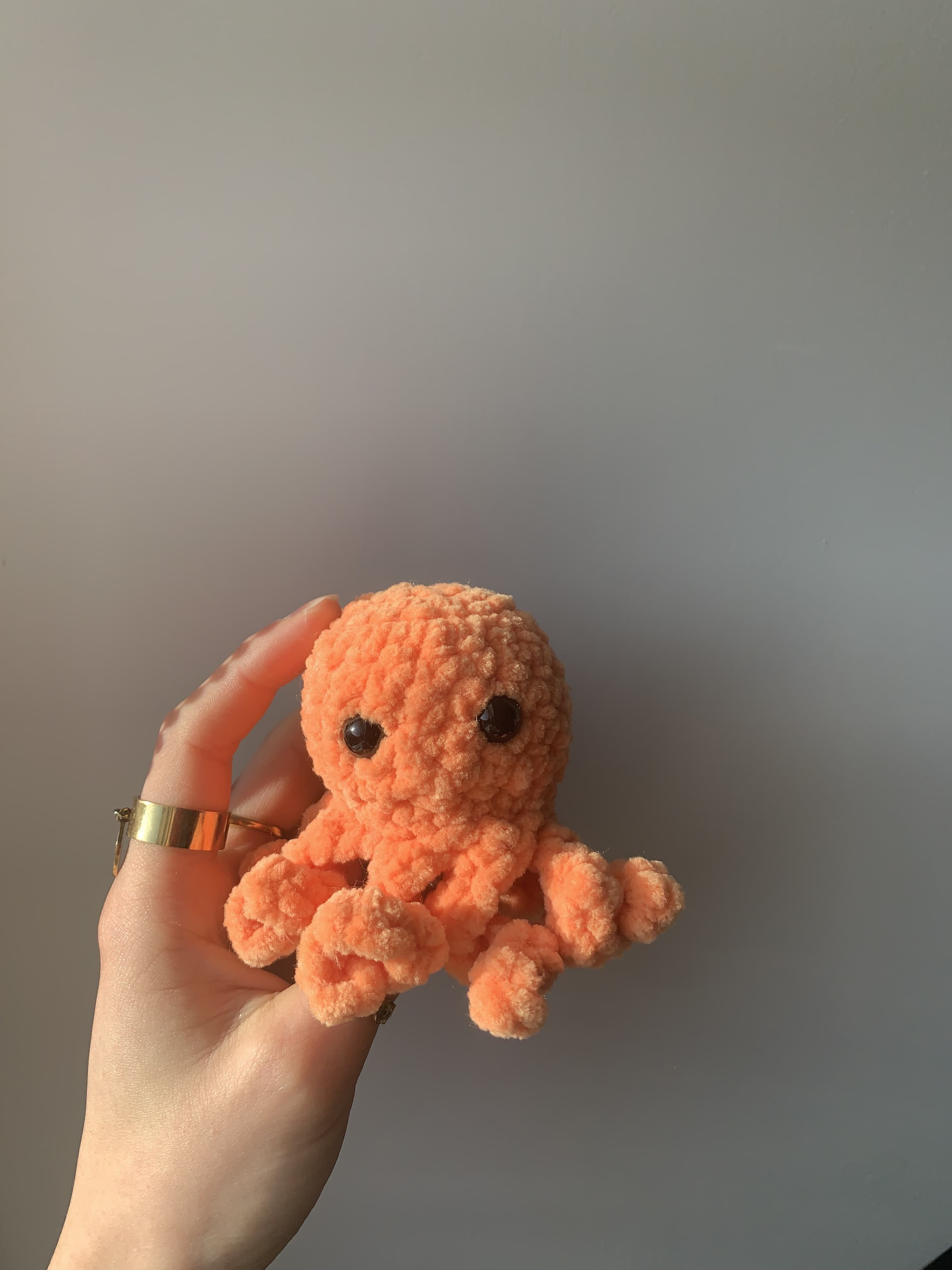 Poulpe orange