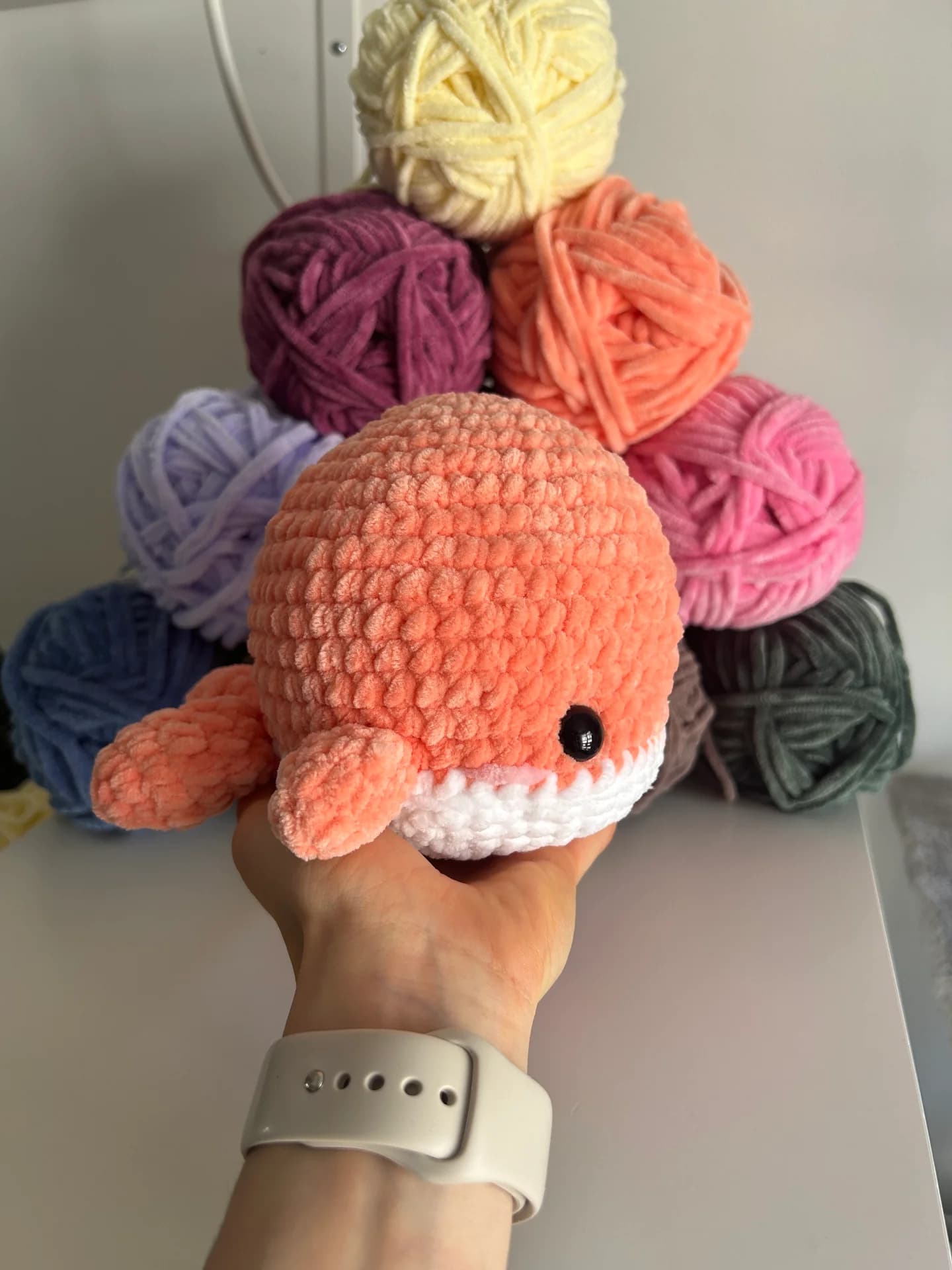 Baleine saumon 